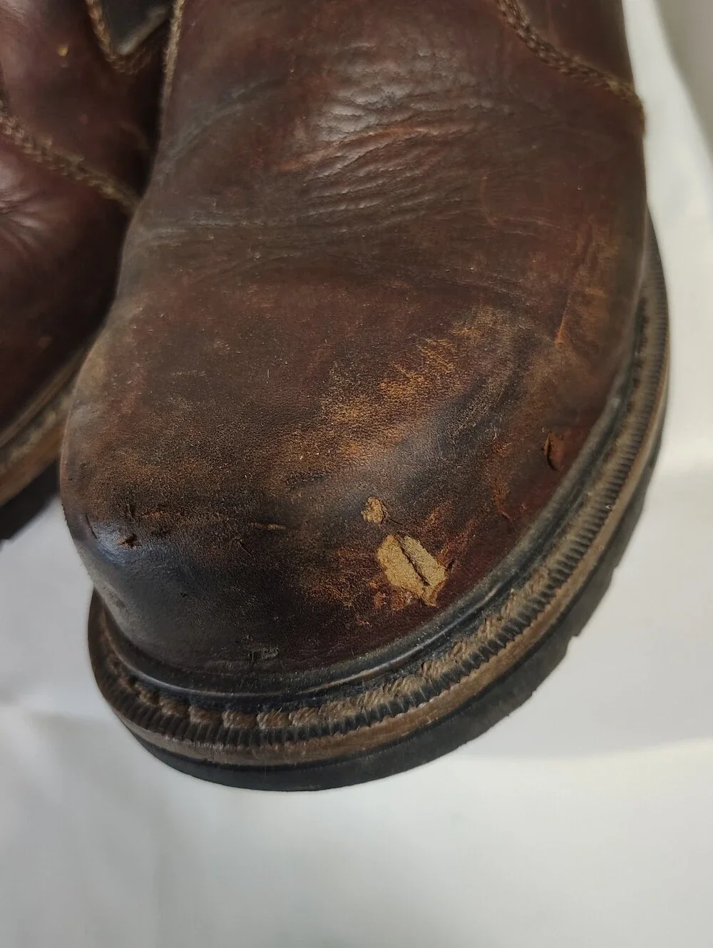 Red wing Irish setter83300